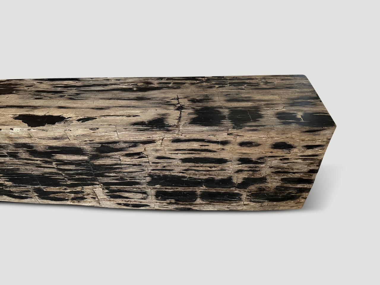 Organic Modern Andrianna Shamaris Petrified Wood Log Bench