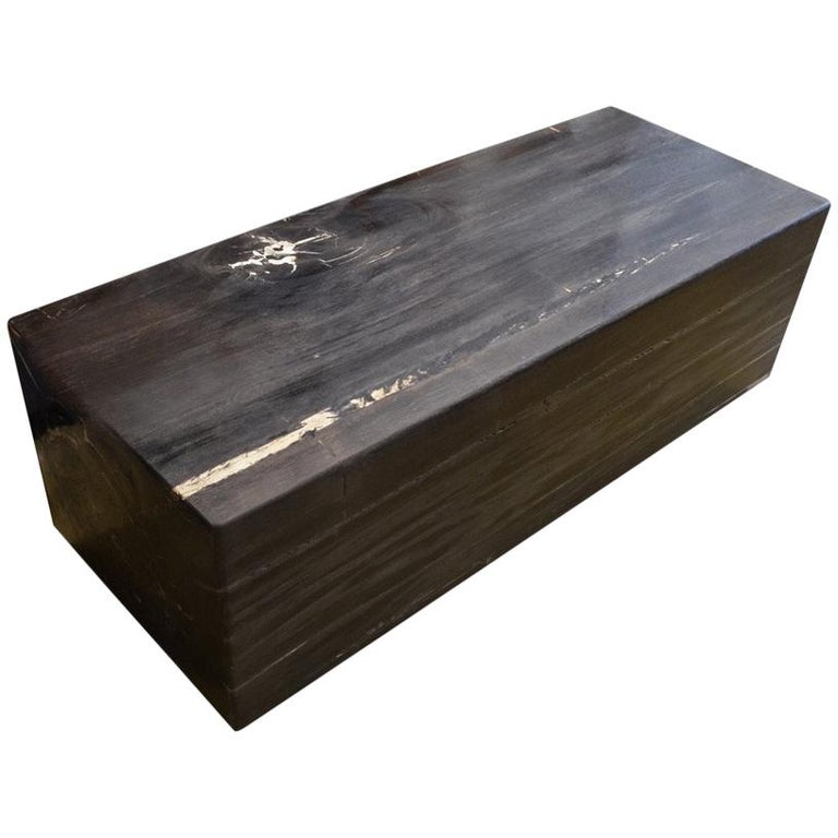 Andrianna Shamaris Petrified Wood Log Bench For Sale At 1stdibs