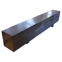 Andrianna Shamaris Log Bench aus versteinertem Holz