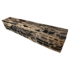 Andrianna Shamaris Petrified Wood Log Bench