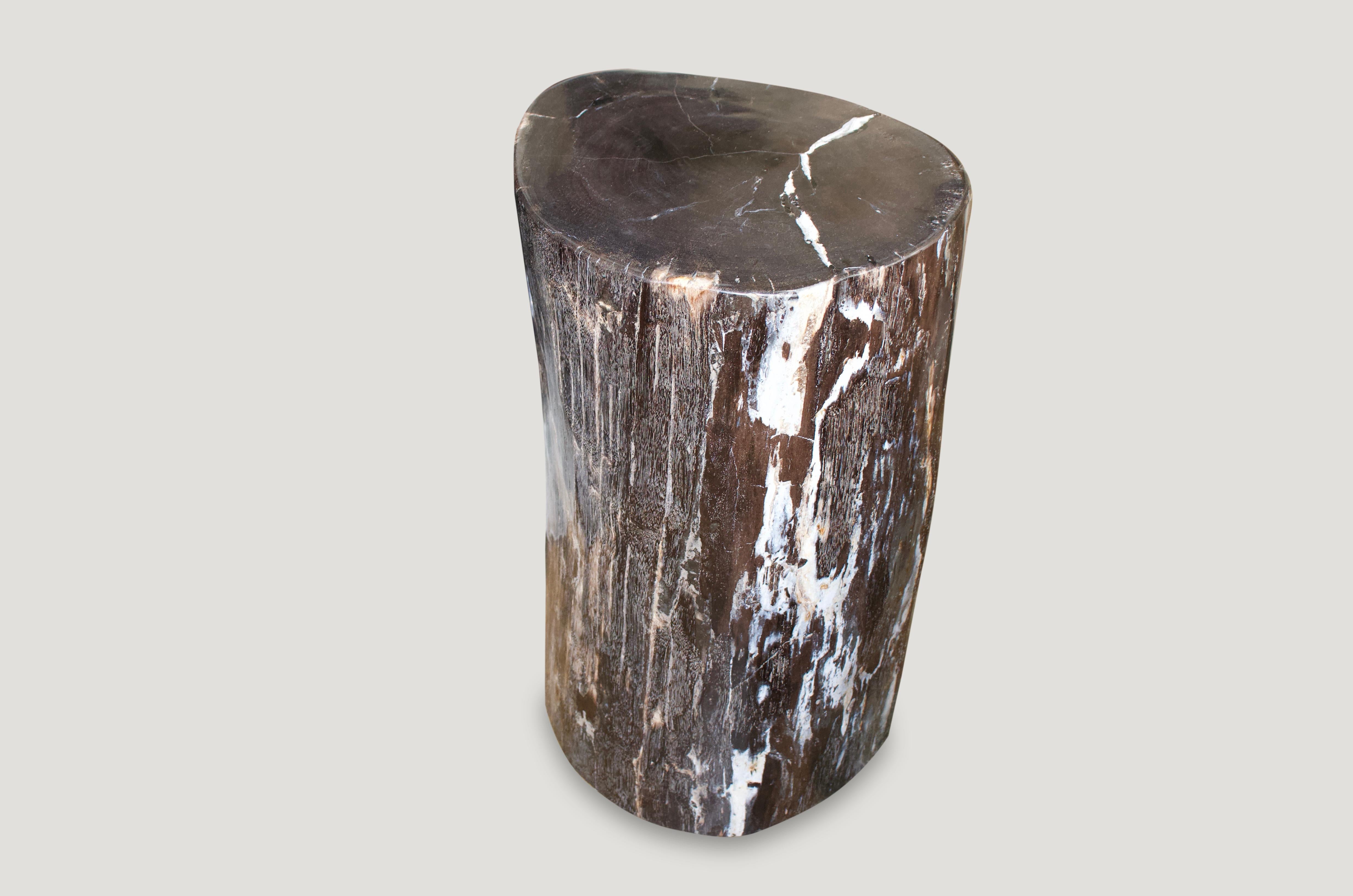 Andrianna Shamaris Petrified Wood Log Side Table In Excellent Condition In New York, NY