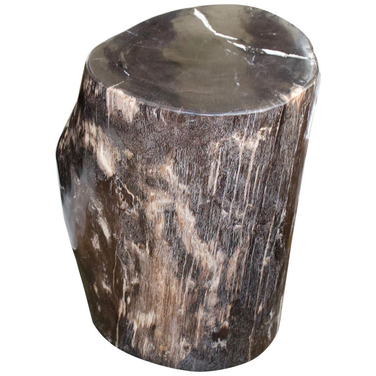 Andrianna Shamaris Petrified Wood Log Side Table At 1stdibs