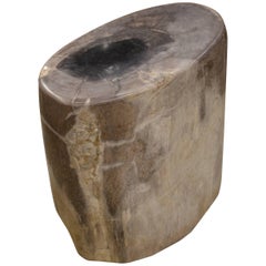 Antique Andrianna Shamaris Petrified Wood Low Profile Side Table