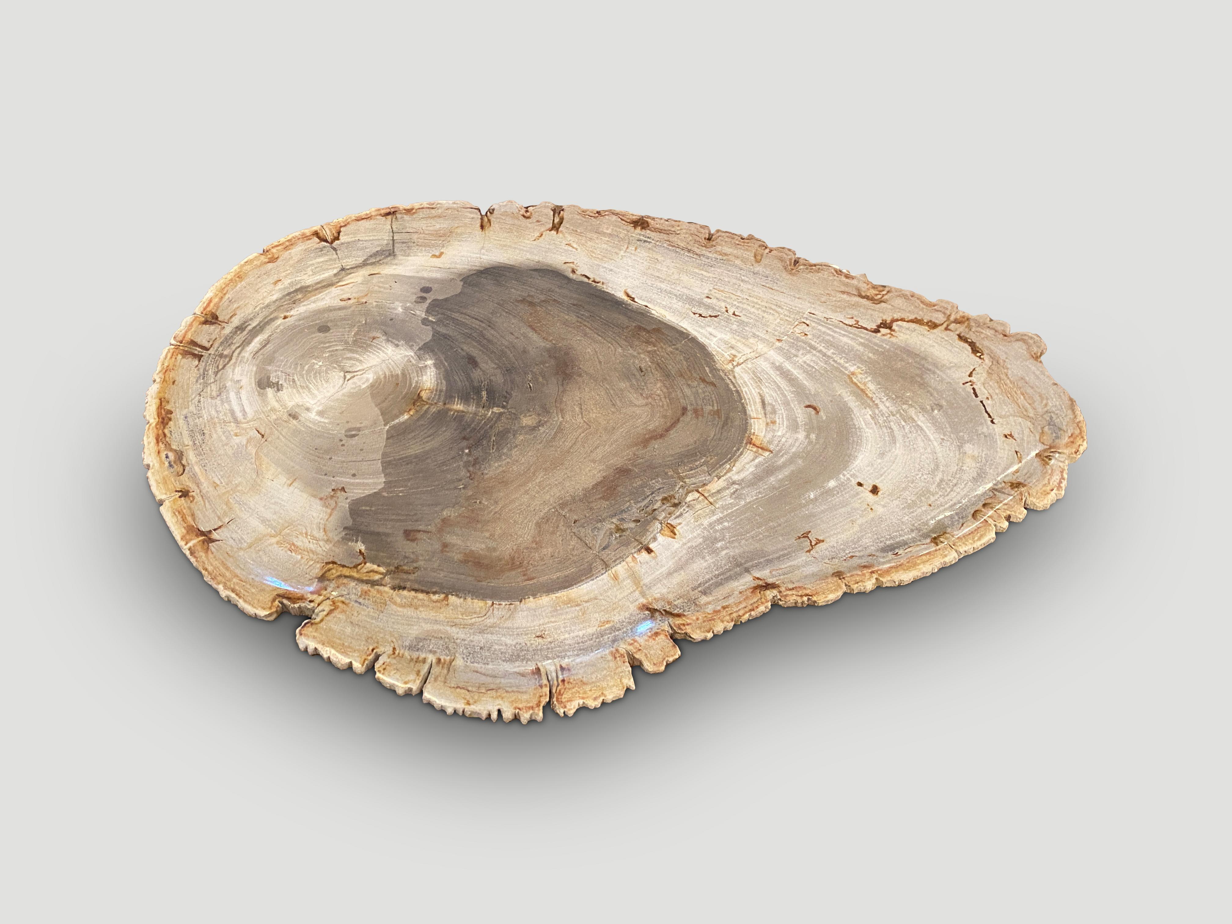 Minimalist contrasting colors on this beautiful petrified wood shallow dish. Polished on both sides. Perfect as a place holder for jewelry, a large coaster or for a cheese platter to name a few options. We have a collection of stunning petrified