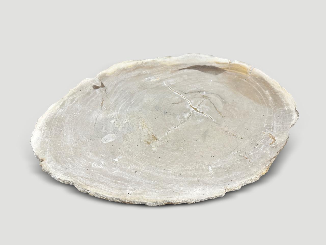 Minimalist petrified wood shallow dish. Polished on both sides. Perfect as a place holder for jewelry, a large coaster or for a cheese platter to name a few options. We have a collection of stunning petrified wood slabs and dishes. The price and