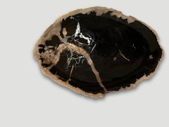 Andrianna Shamaris Petrified Wood Shallow Dish