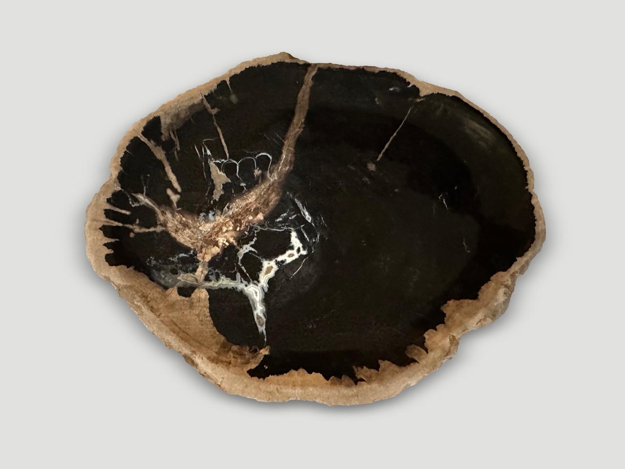 Ce plat creux en bois pétrifié présente de magnifiques contrastes et marques. Polie des deux côtés avec un bord vif et une profondeur d'un pouce. Parfait comme porte-bijoux, grand sous-verre ou plateau de fromage, pour ne citer que quelques