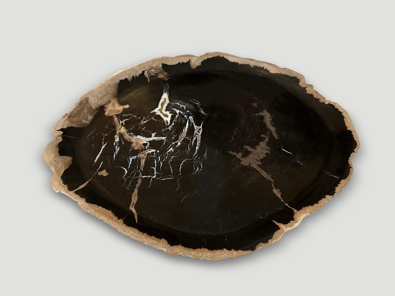 Precioso contraste de tonos y marcas en este plato llano de madera petrificada. Pulido por ambos lados con un borde vivo y una profundidad de una pulgada. Perfecto como soporte para joyas, un posavasos grande o una bandeja para quesos, por nombrar