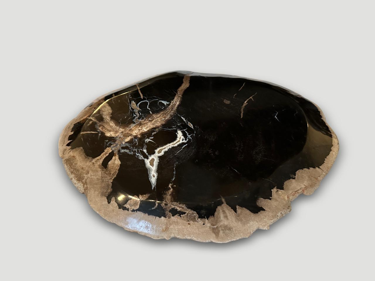 Organic Modern Andrianna Shamaris Petrified Wood Shallow Dish For Sale