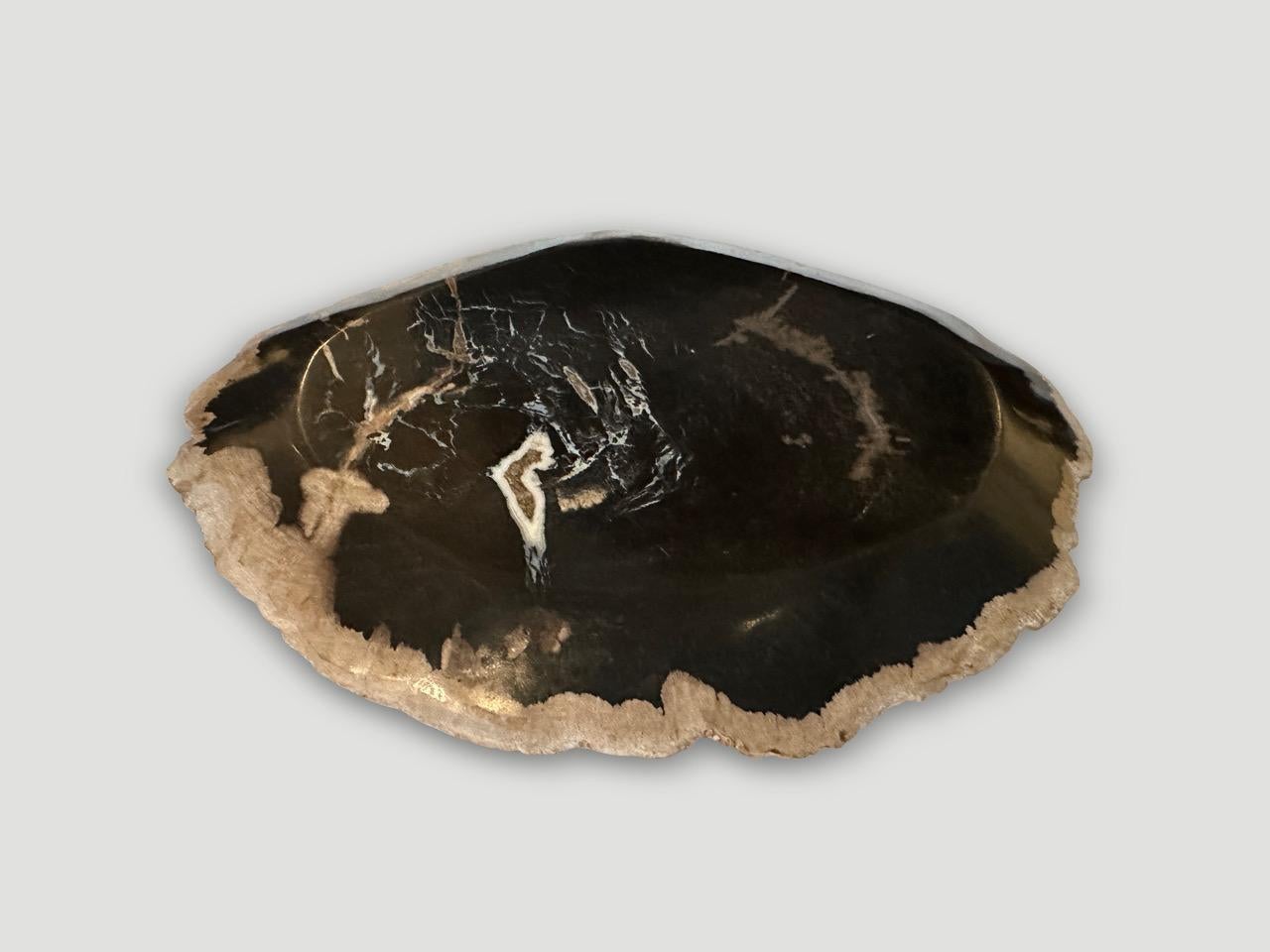 Andrianna Shamaris Plato llano de madera petrificada Moderno orgánico