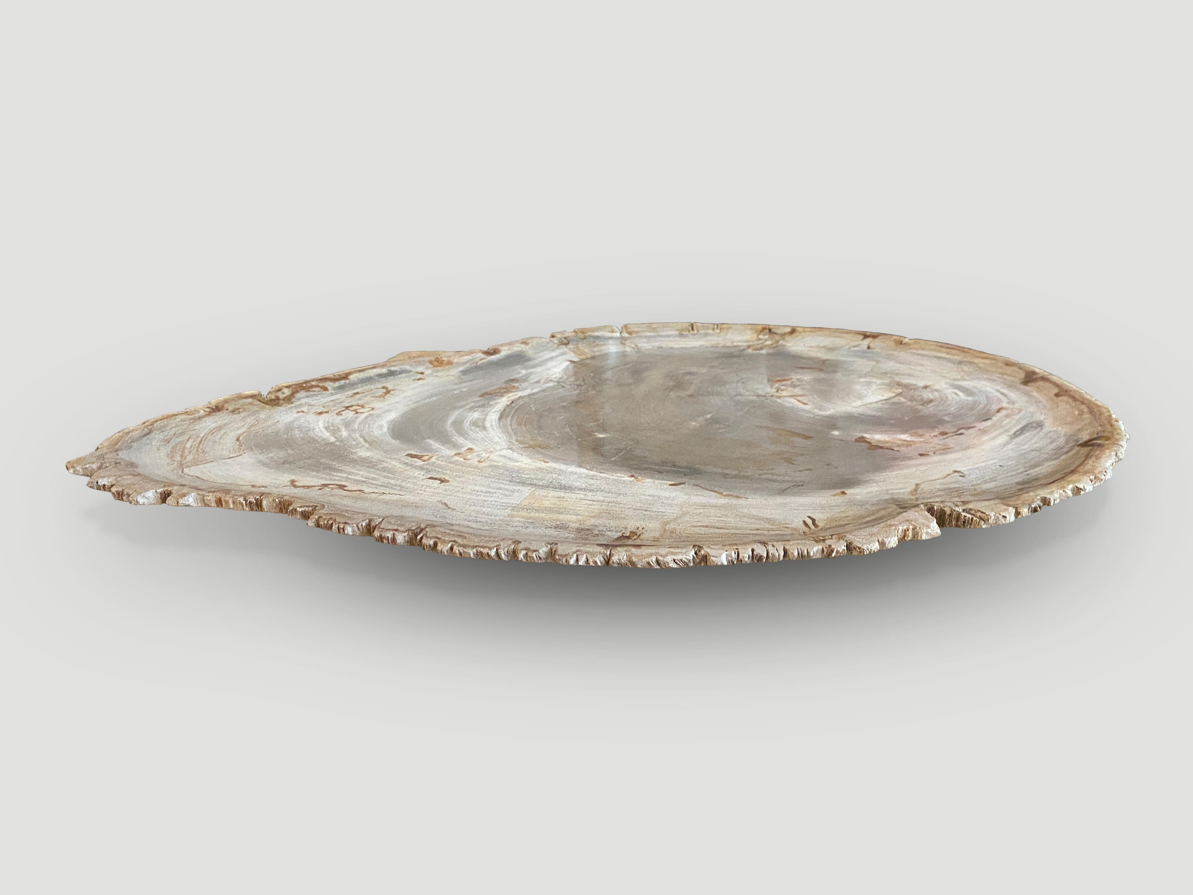Andrianna Shamaris Petrified Wood Shallow Dish In Excellent Condition In New York, NY