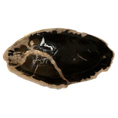 Andrianna Shamaris Petrified Wood Shallow Dish