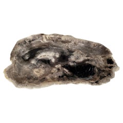 Andrianna Shamaris Petrified Wood Shallow Dish
