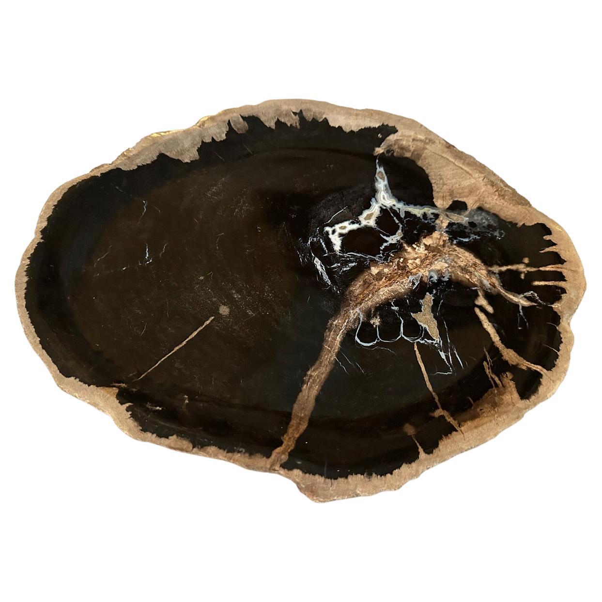 Andrianna Shamaris Plato llano de madera petrificada
