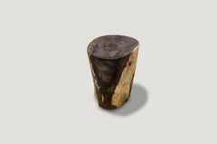 Andrianna Shamaris Petrified Wood Side Table