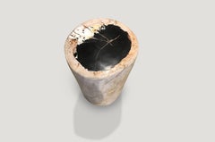 Andrianna Shamaris Petrified Wood Side Table