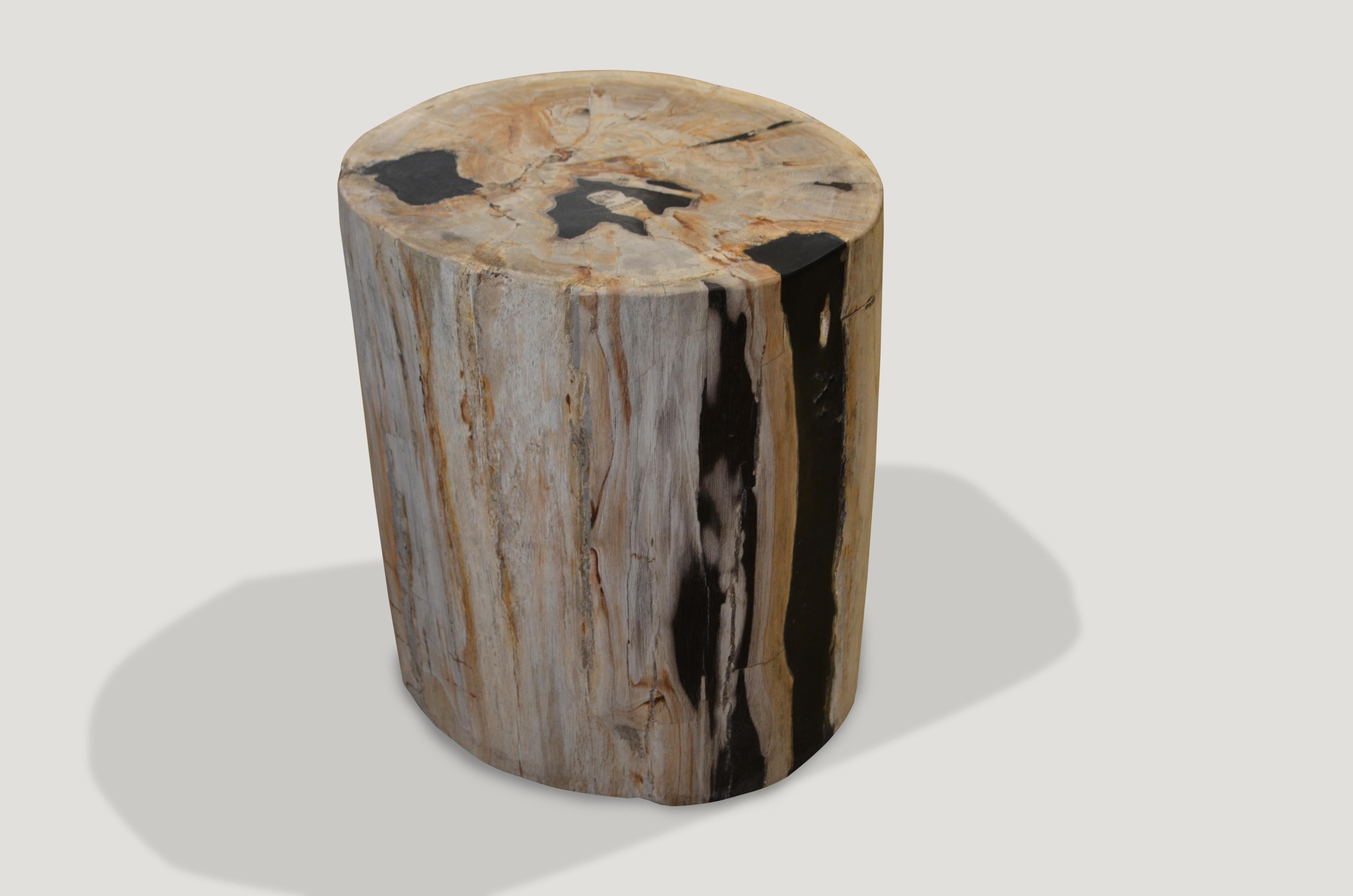 Striking contrasting color tones on this petrified wood side table. 

We source the highest quality petrified wood available. Each piece is hand-selected and highly polished with minimal cracks. Petrified wood is extremely versatile – even great