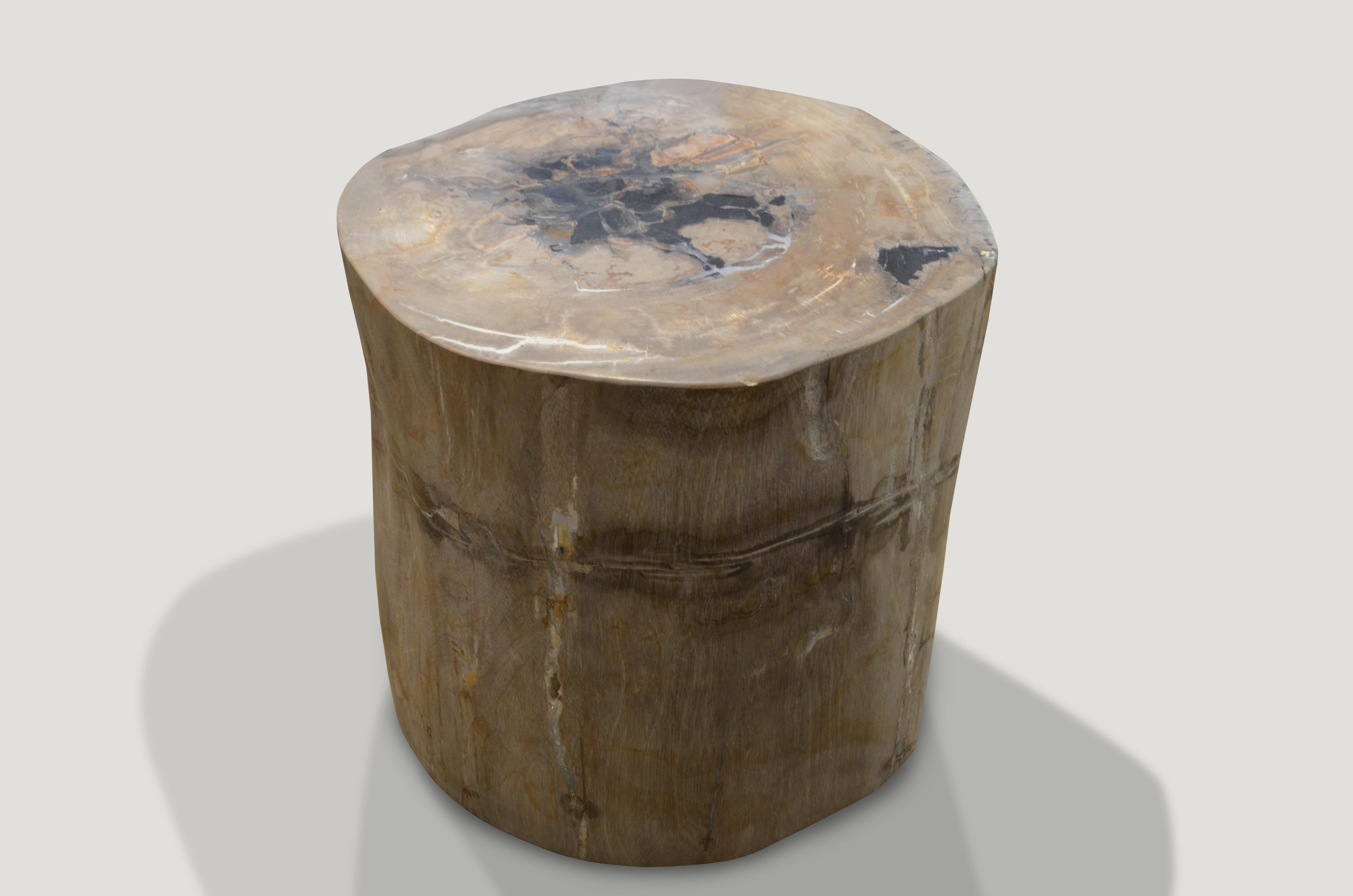 Impressive petrified wood side table with stunning neutral tones.

We source the highest quality petrified wood available. Each piece is hand selected and highly polished with minimal cracks. Petrified wood is extremely versatile – even great