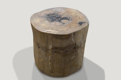 Andrianna Shamaris Petrified Wood Side Table
