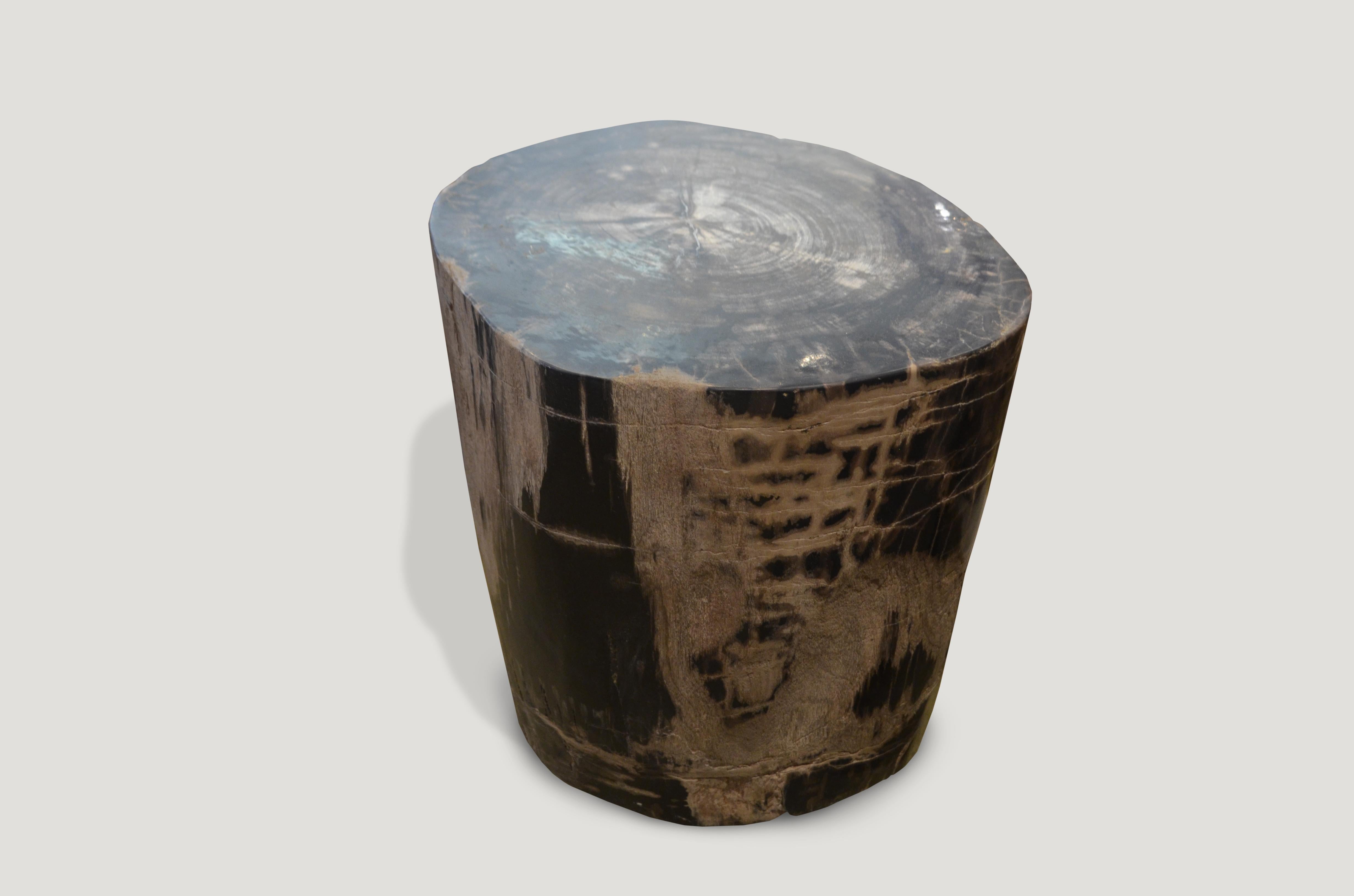 Stunning grey, black and beige checkered pattern created naturally within the wood.

We source the highest quality petrified wood available. Each piece is hand selected and highly polished with minimal cracks. Petrified wood is extremely versatile