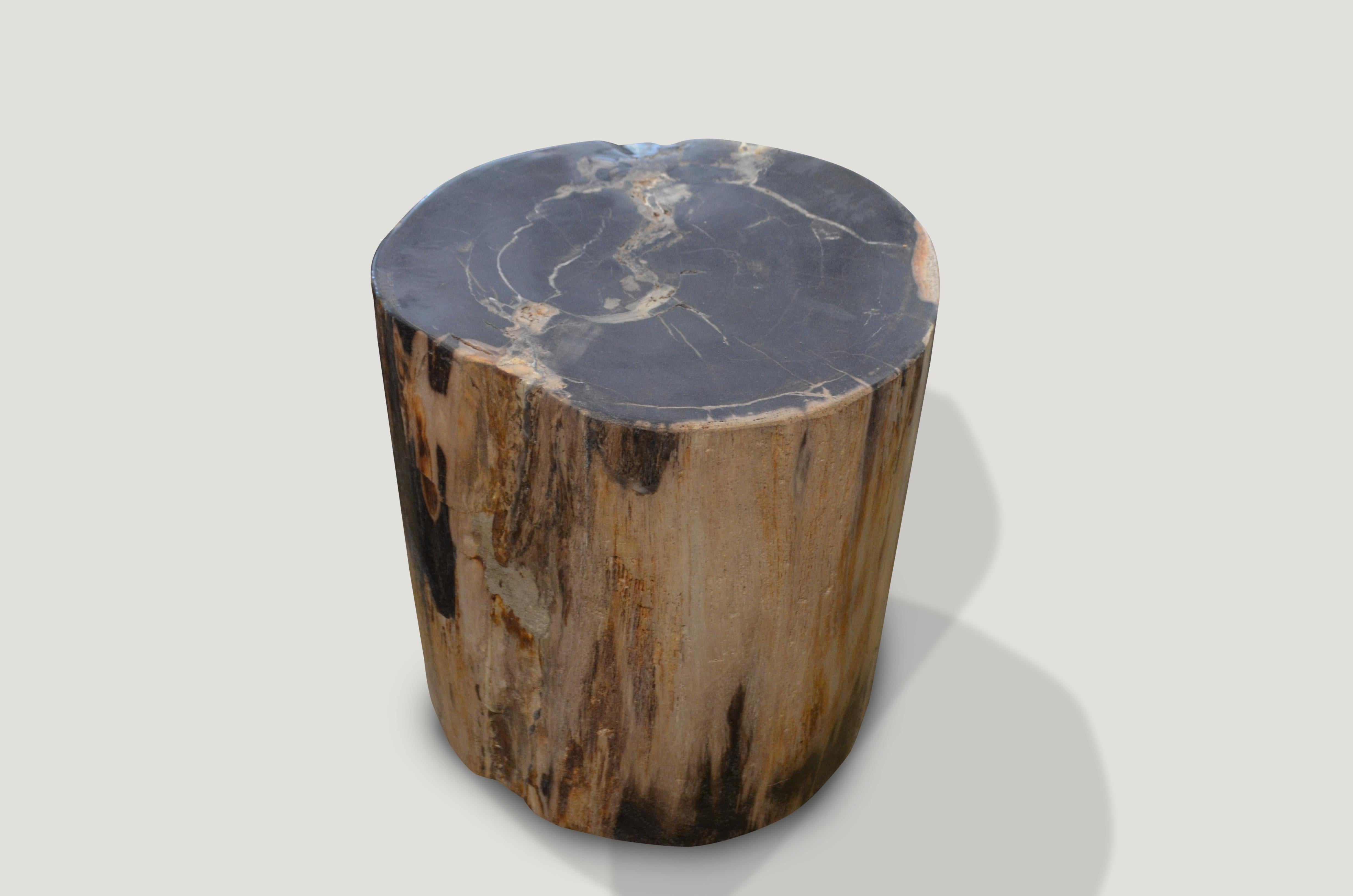 Striking contrasting color tones on this petrified wood side table.

We source the highest quality petrified wood available. Each piece is hand-selected and highly polished with minimal cracks. Petrified wood is extremely versatile – even great