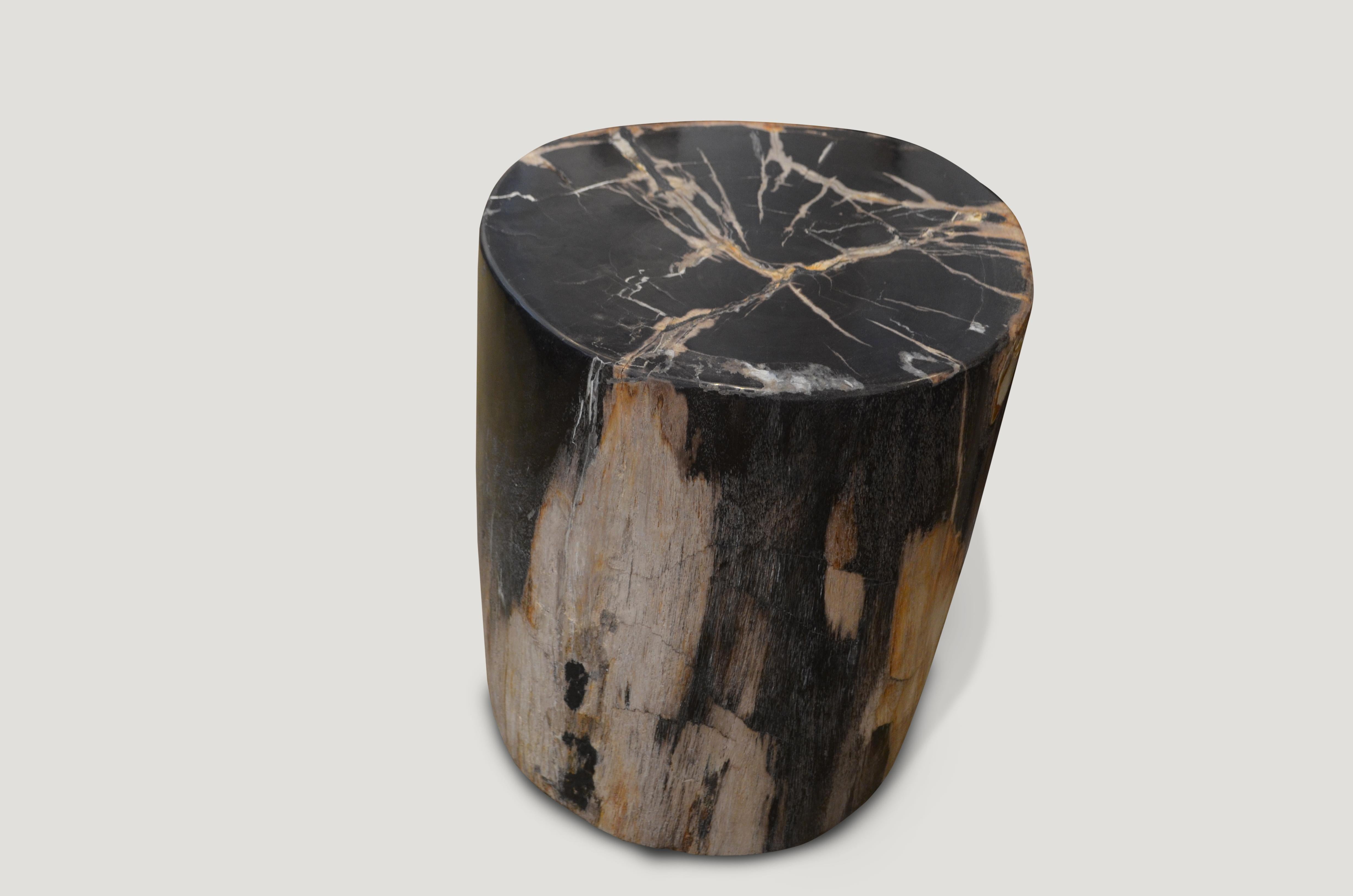 Striking contrasting color tones on this petrified wood side table. 

We source the highest quality petrified wood available. Each piece is hand-selected and highly polished with minimal cracks. Petrified wood is extremely versatile – even great