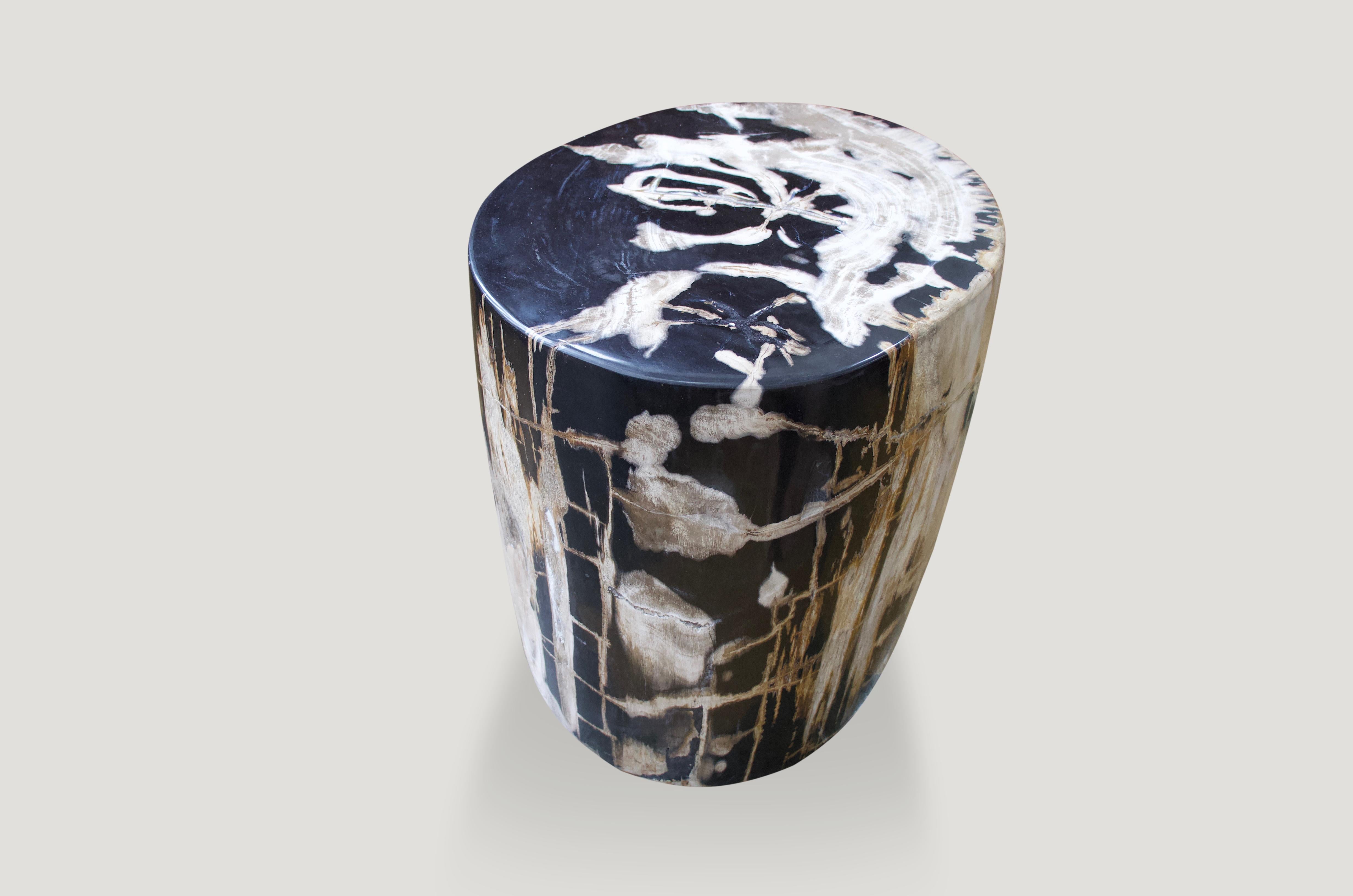 Fabulous detail in this high quality petrified wood side table.

We source the highest quality petrified wood available. Each piece is hand selected and highly polished with minimal cracks. Petrified wood is extremely versatile – even great inside