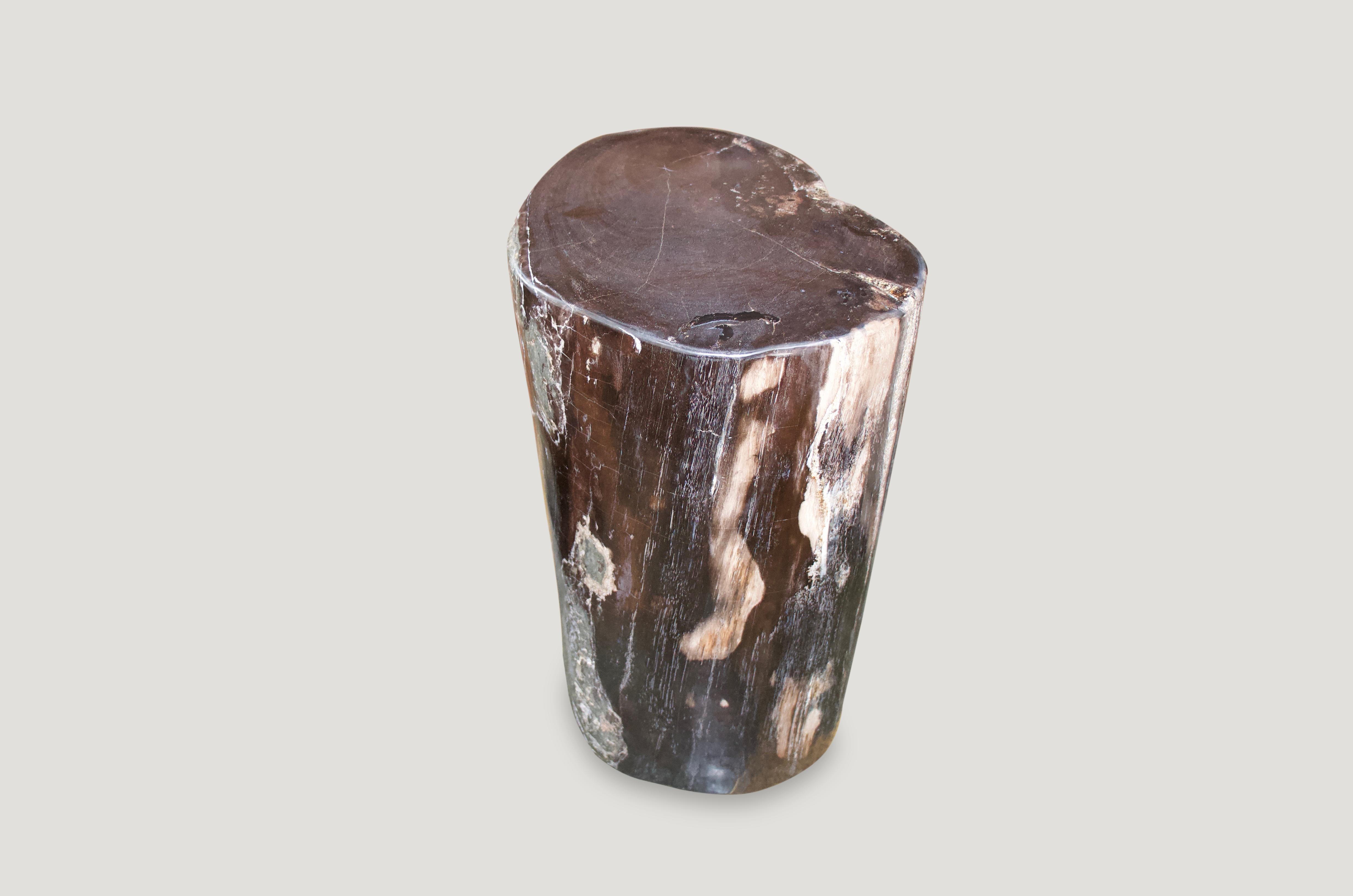 We source the highest quality petrified wood available. Each piece is hand selected and highly polished with minimal cracks. Petrified wood is extremely versatile, even great inside a bathroom shower. Perfect as a cocktail table, side table or