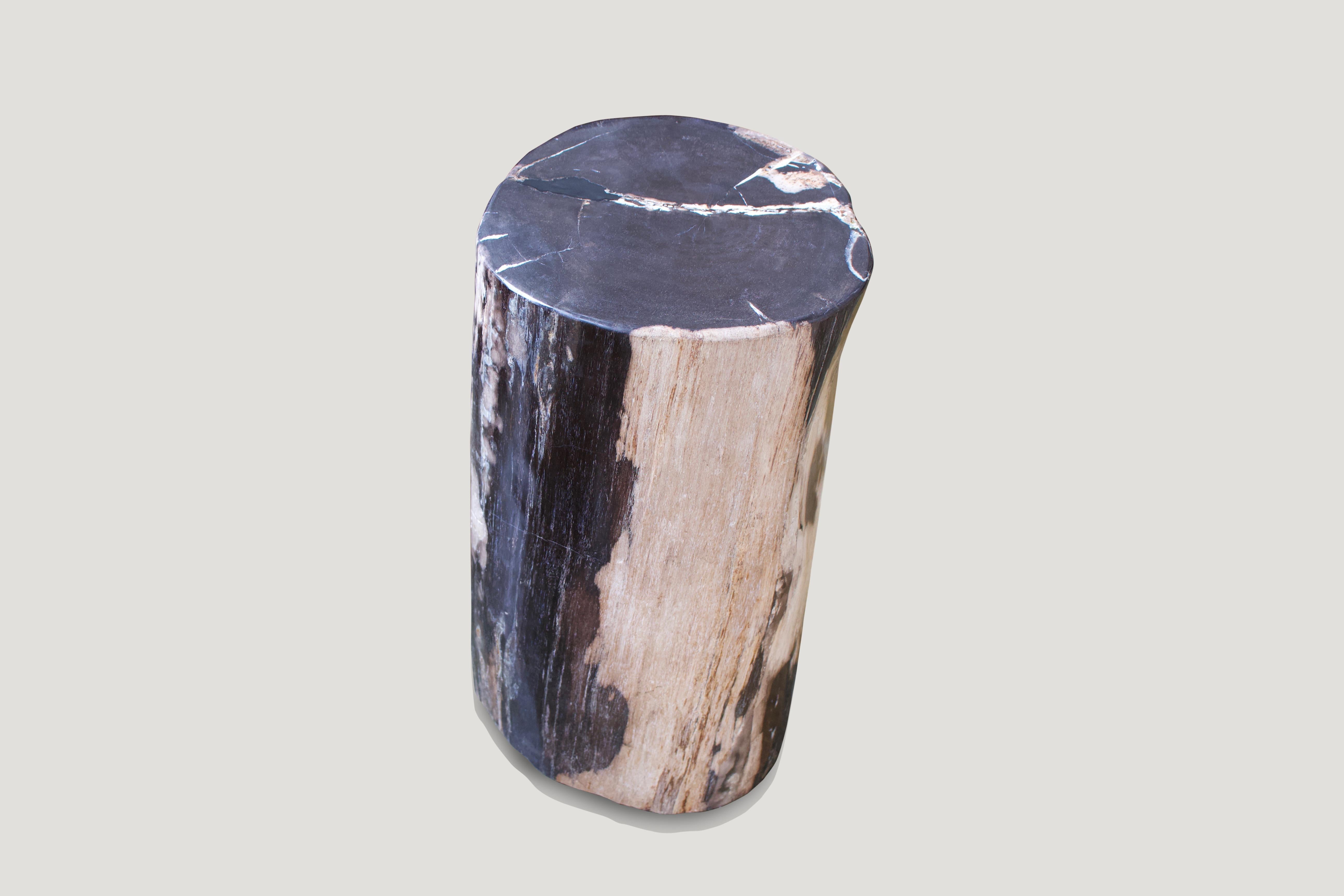 We source the highest quality petrified wood available. Over 40 million years old. Each piece is hand selected and highly polished with minimal cracks. Petrified wood is extremely versatile – even great inside a bathroom shower. Perfect as a