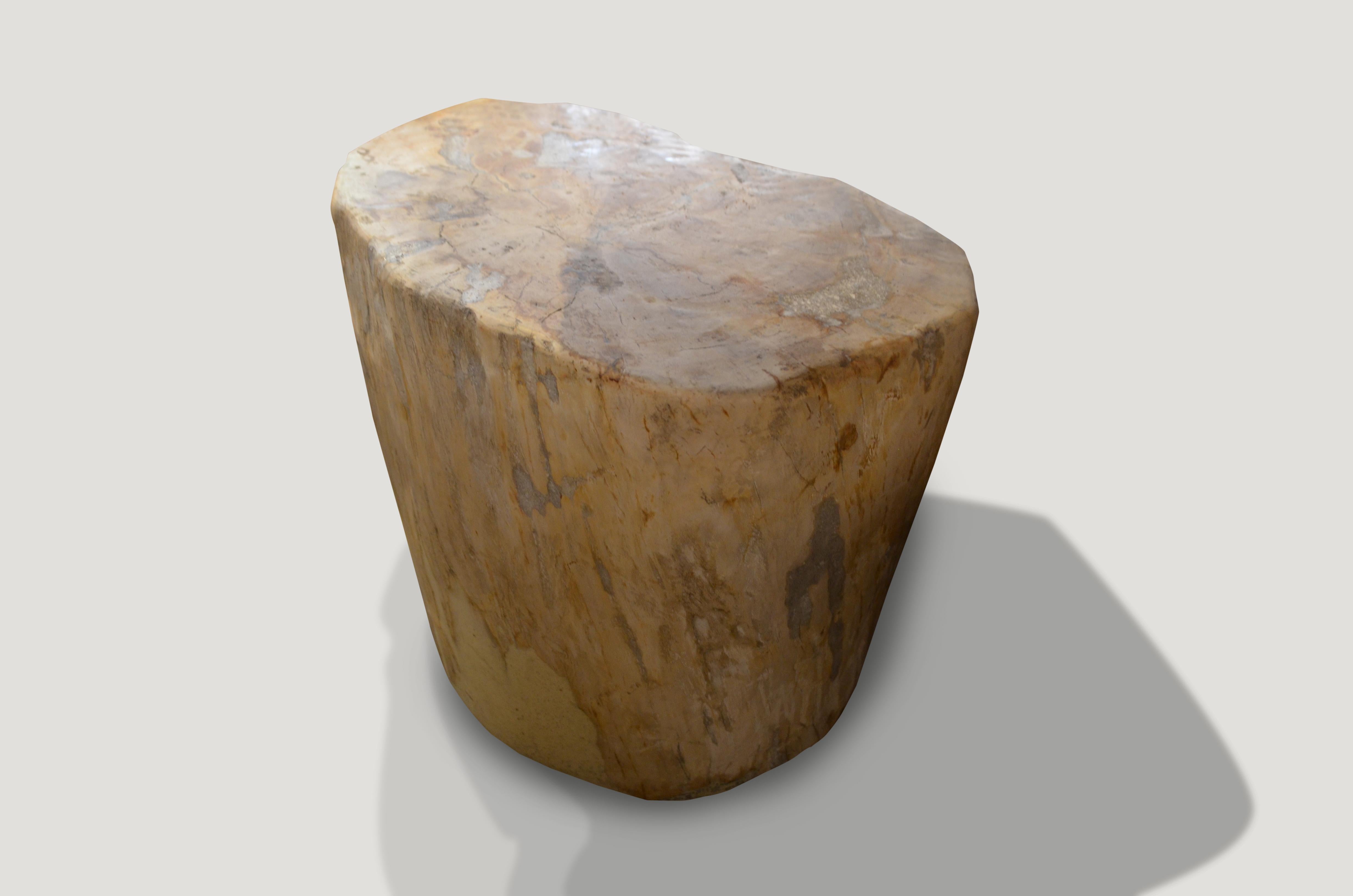 We source the highest quality petrified wood available. Each piece is hand-selected and highly polished with minimal cracks. Petrified wood is extremely versatile even great inside a bathroom shower. Perfect as a cocktail table, side table or