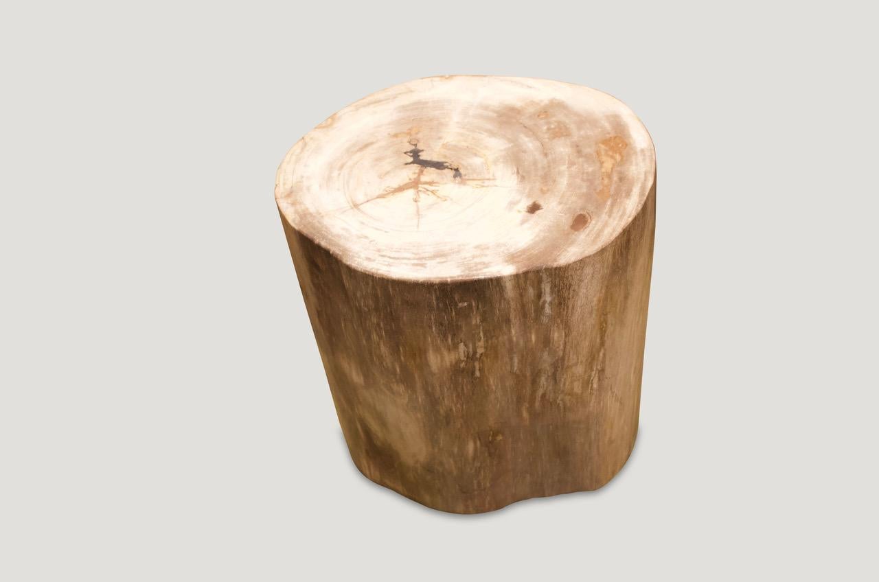 Natural color wood tones on this petrified wood side table.

We source the highest quality petrified wood available. Each piece is hand-selected and highly polished with minimal cracks. Petrified wood is extremely versatile – even great inside a