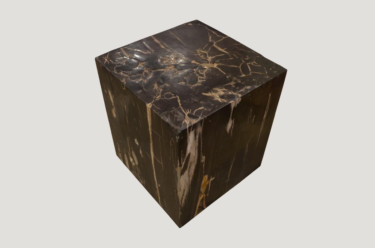 Beautiful high quality petrified wood side table. It’s fascinating how Mother Nature produces these exquisite 40 million year old petrified teak logs with such contrasting colors and natural patterns and markings throughout. Modern yet with so much