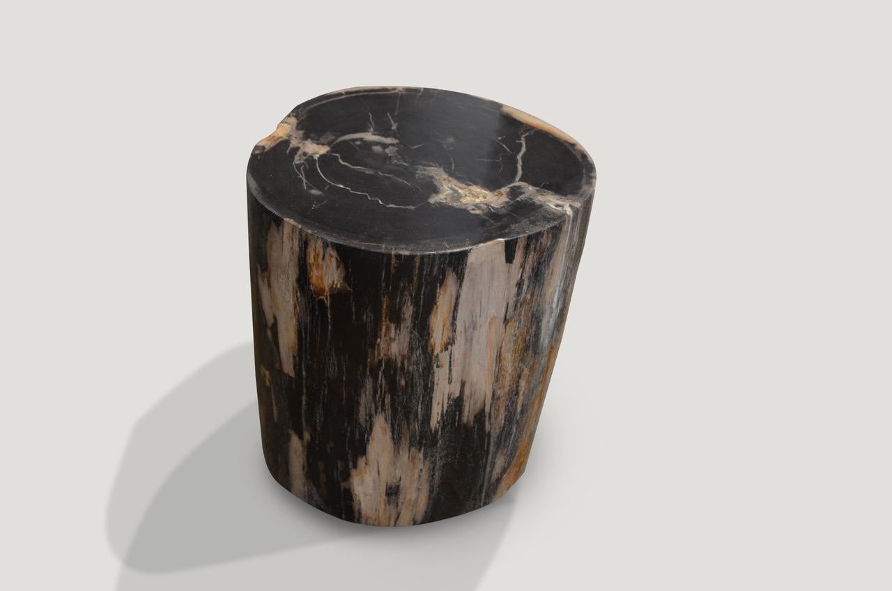 Organic Modern Andrianna Shamaris Petrified Wood Side Table