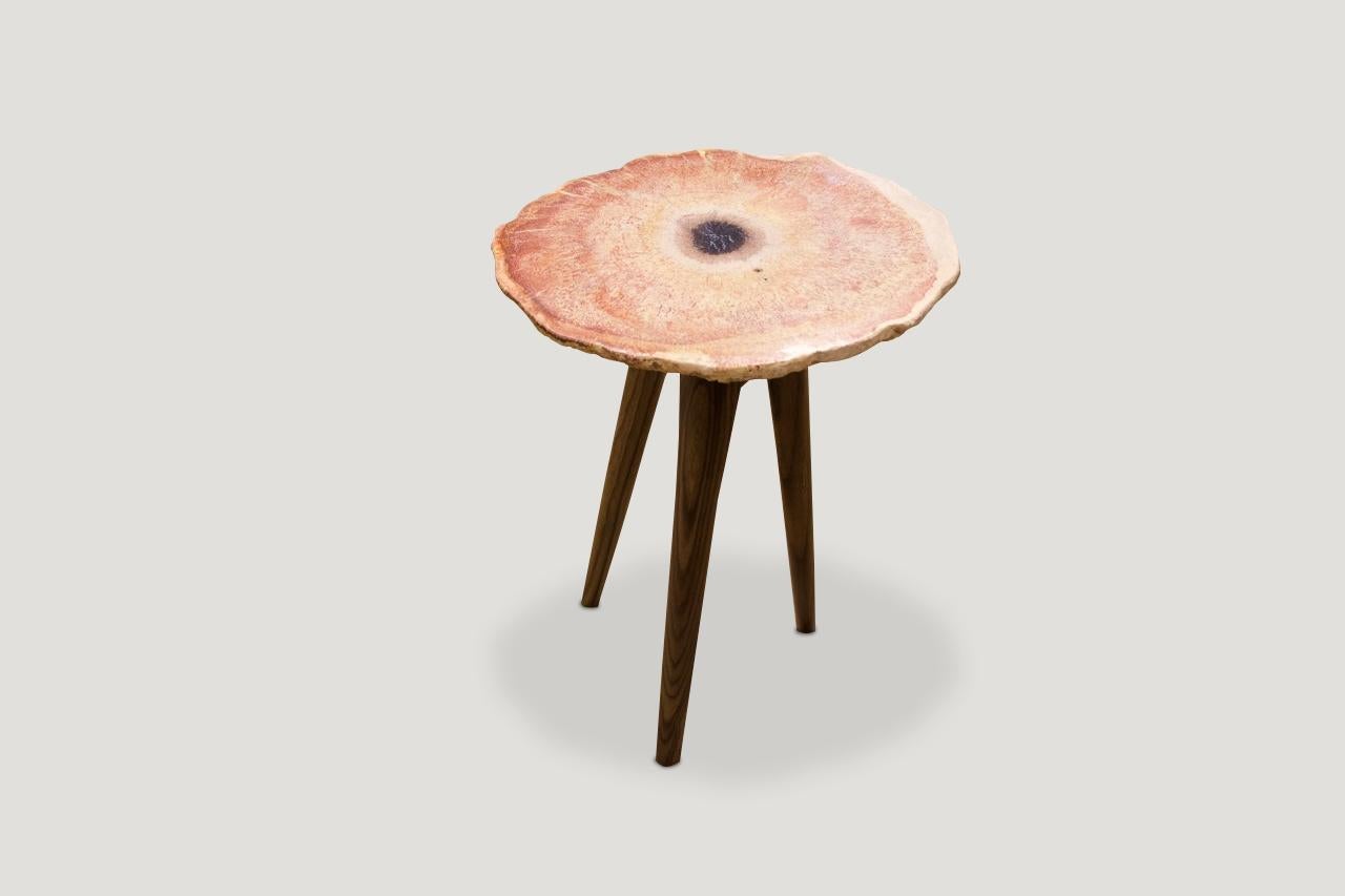 Organic Modern Andrianna Shamaris Petrified Wood Side Table