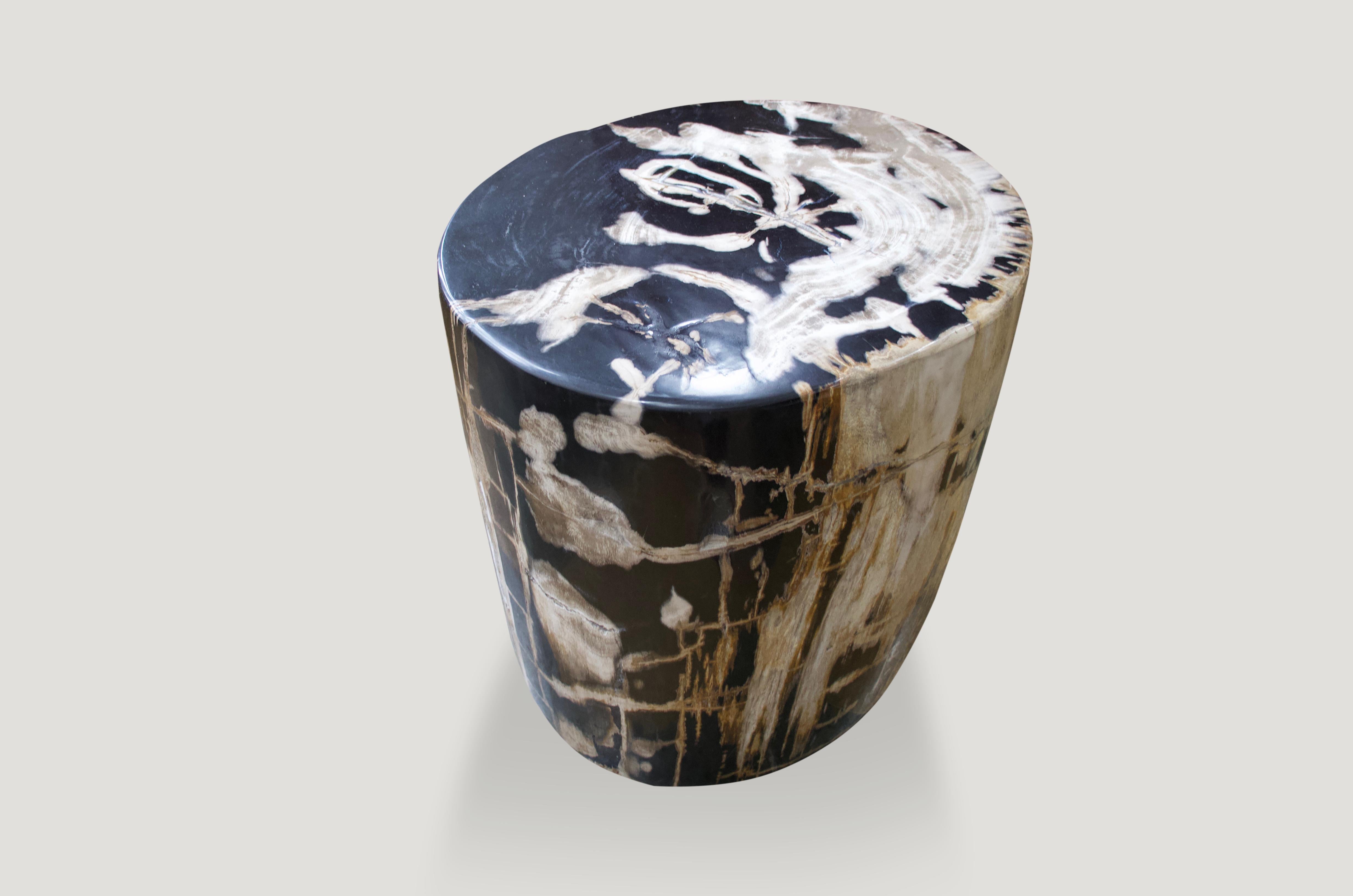 Organic Modern Andrianna Shamaris Petrified Wood Side Table