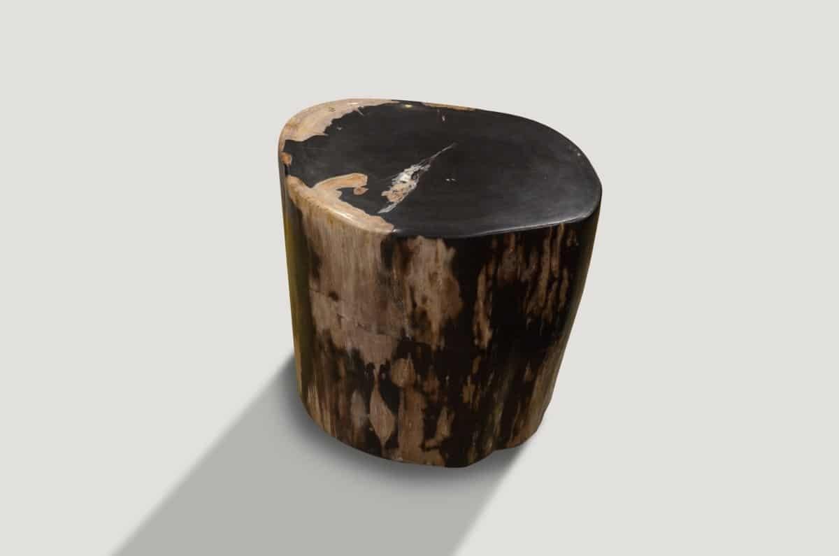 Organic Modern Andrianna Shamaris Petrified Wood Side Table