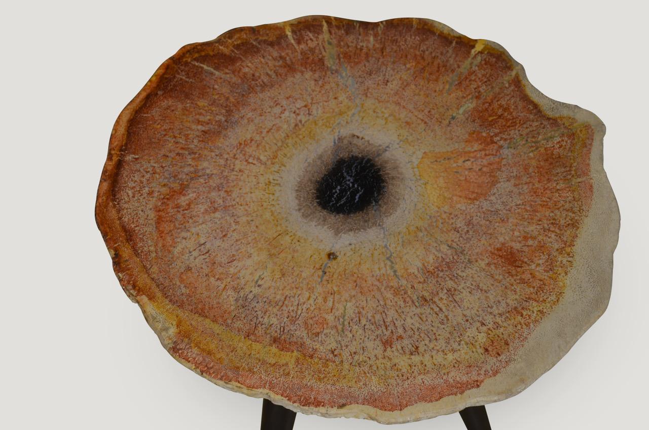 Andrianna Shamaris Petrified Wood Side Table In Excellent Condition In New York, NY