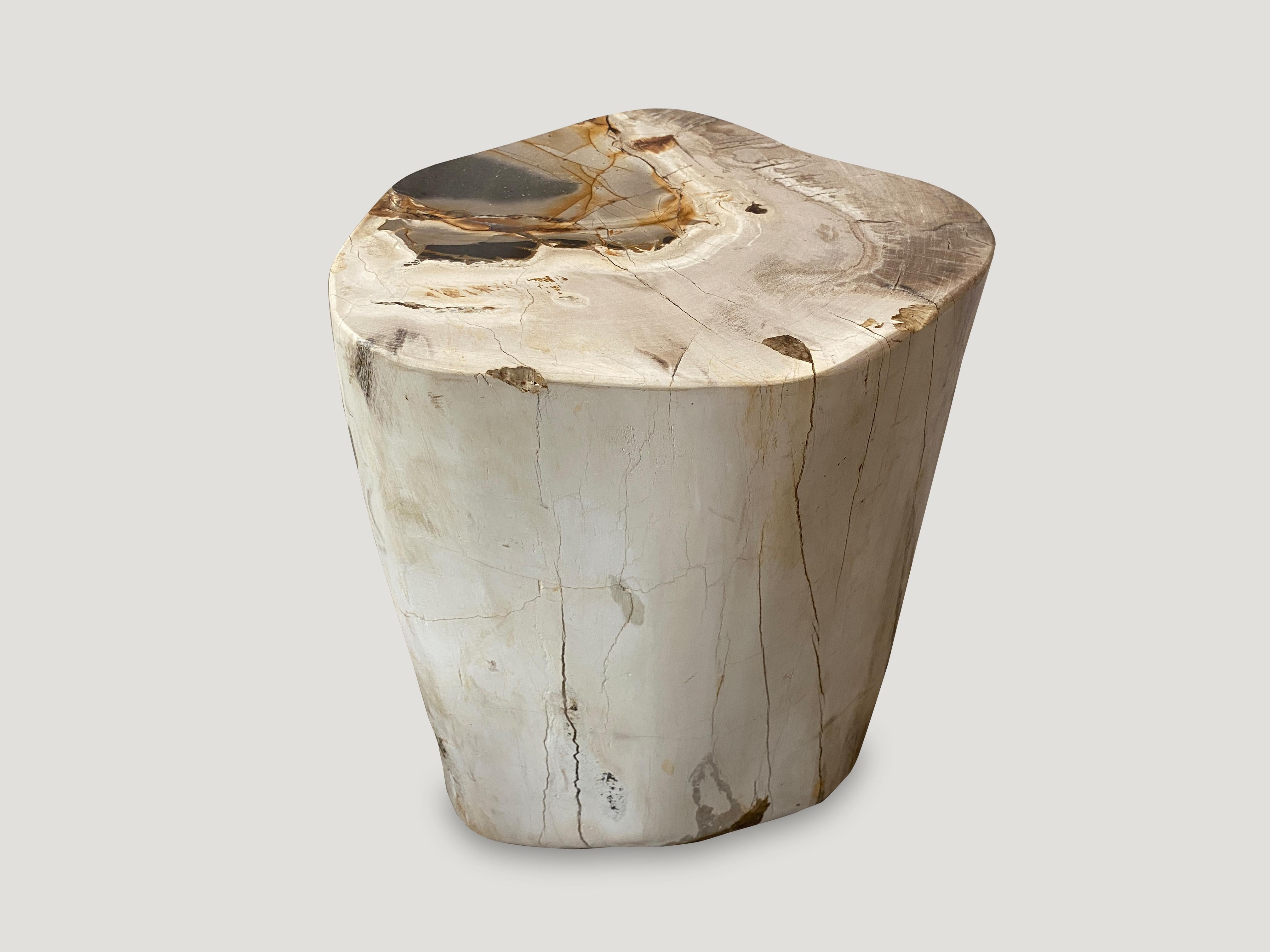 Andrianna Shamaris Petrified Wood Side Table In Excellent Condition In New York, NY