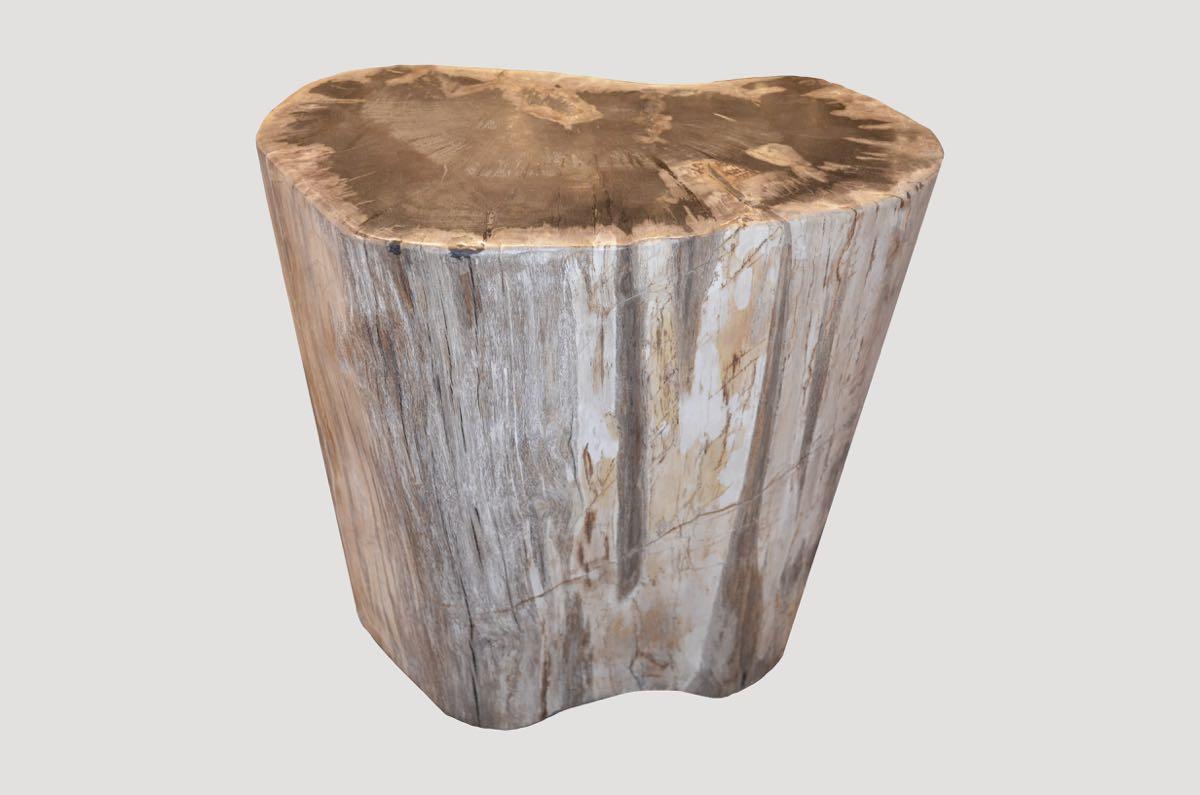 Andrianna Shamaris Petrified Wood Side Table In Excellent Condition In New York, NY