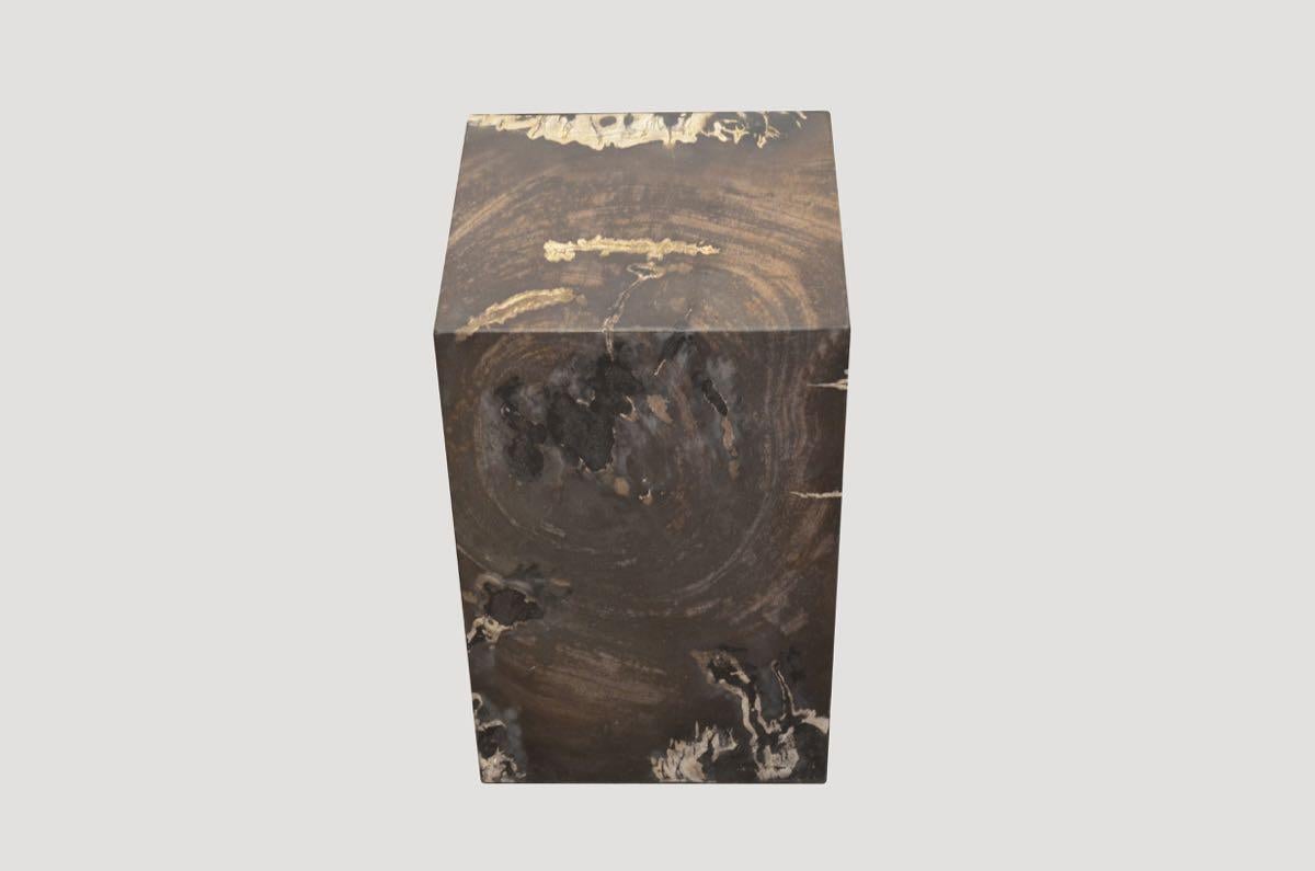 Andrianna Shamaris Petrified Wood Side Table For Sale 3