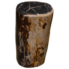 Andrianna Shamaris Petrified Wood Side Table