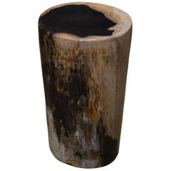 Antique Andrianna Shamaris Petrified Wood Side Table