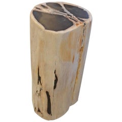 Antique Andrianna Shamaris Petrified Wood Side Table