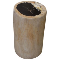 Andrianna Shamaris Petrified Wood Side Table
