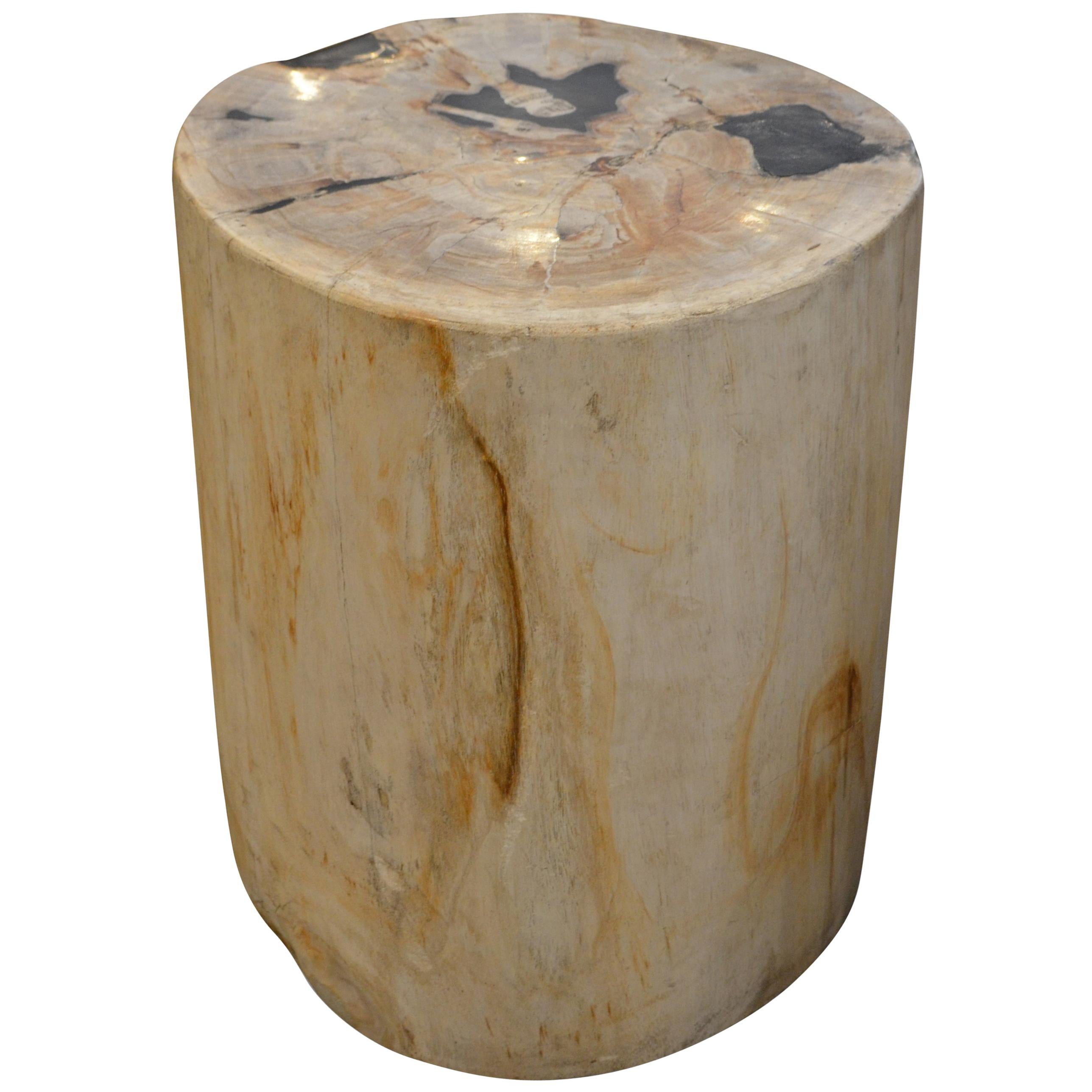 Andrianna Shamaris Petrified Wood Side Table