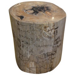 Andrianna Shamaris Petrified Wood Side Table