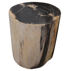 Andrianna Shamaris Petrified Wood Side Table