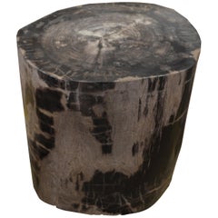 Andrianna Shamaris Petrified Wood Side Table