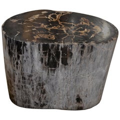 Andrianna Shamaris Petrified Wood Side Table