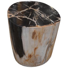 Andrianna Shamaris Petrified Wood Side Table